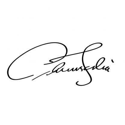 Signature Stamp with Date 23X63 mm ( Exmark) - Image 2